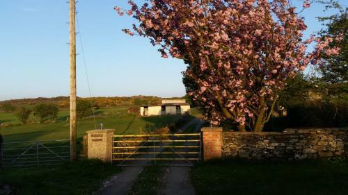 Rockville Amlwch Ll68 0te, Uk Apartment