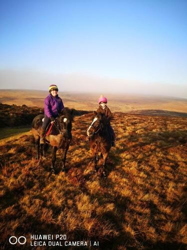 Pen-rhos Luxury Glamping "the Hare Hut"