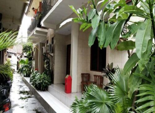 Hotel Darmadi Kuta