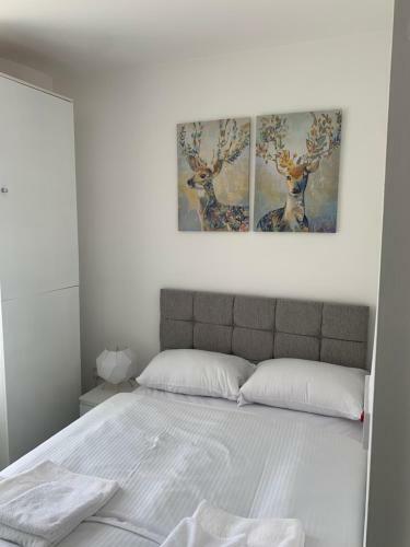 Hotel Smeaton Street Accommodation