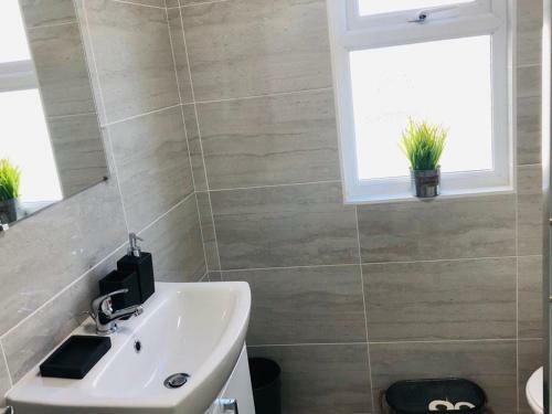Lush Apartment 5 Bedroom House - Wbr
