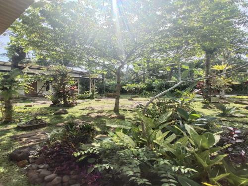 Hadi Homestay