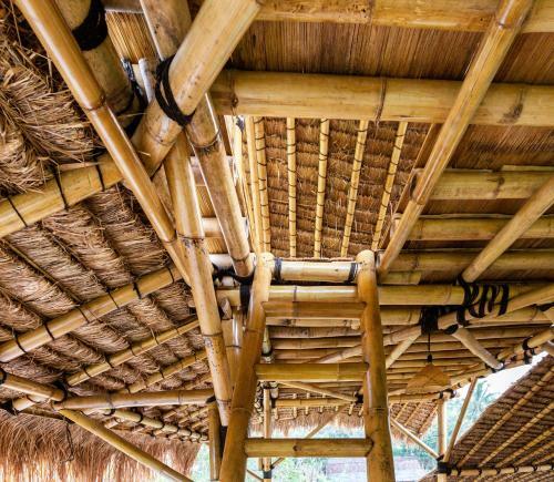 Bed & Breakfast Bamboo & B