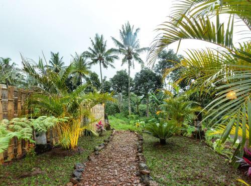 Bed & Breakfast Bamboo & B