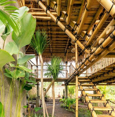 Bed & Breakfast Bamboo & B
