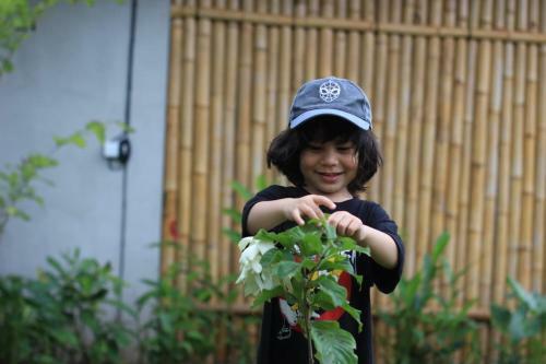 Hotel Sawah Ijen