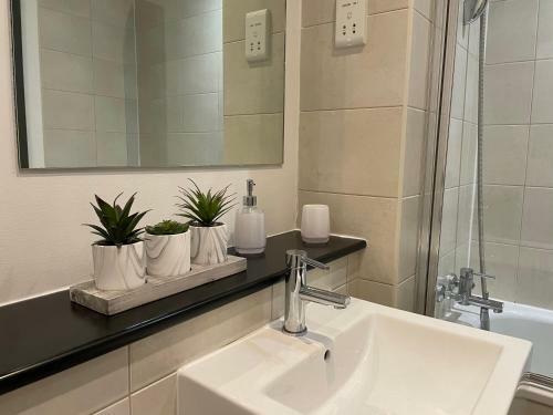 Liverpool City Princes Dock Apartment