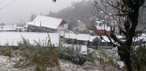 Khaamree Homestay