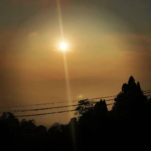 Jasmine Homestay Darjeeling