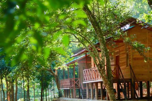 Paradise Garden Resort