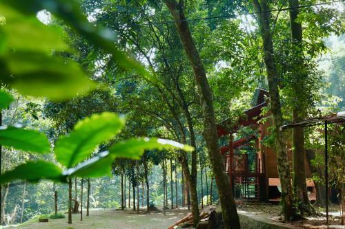 Paradise Garden Resort