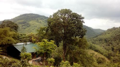 Paradise Garden Resort