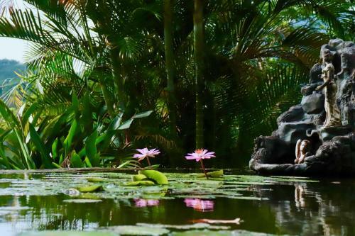 Paradise Garden Resort