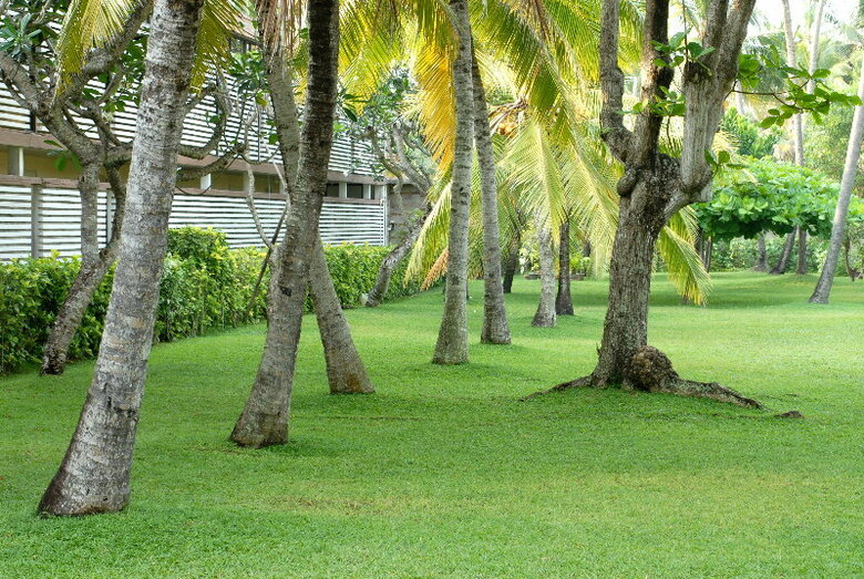 Palm Village Hotel