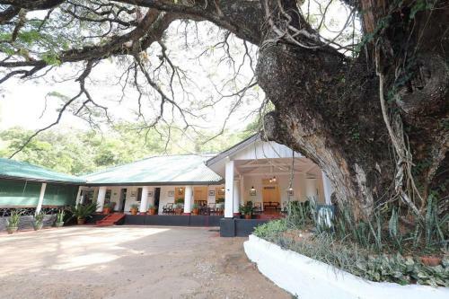 Hostal The Rest House Belihuloya