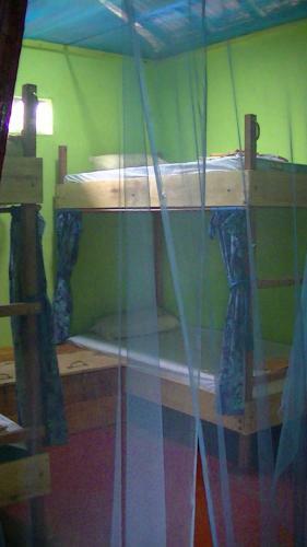 Albergue Tropi Turtle Guesthouse