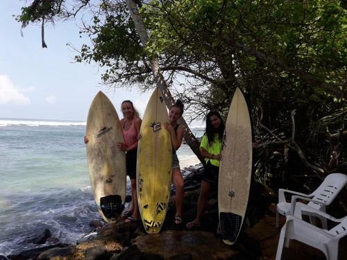 Albergue Tropi Turtle Guesthouse