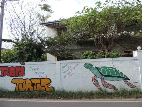 Albergue Tropi Turtle Guesthouse