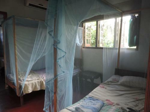 Albergue Tropi Turtle Guesthouse