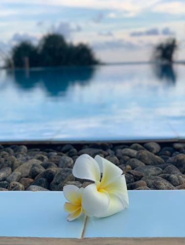 Villa Silverlane Beach House