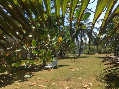 Bed & Breakfast Raja Beach Hotel