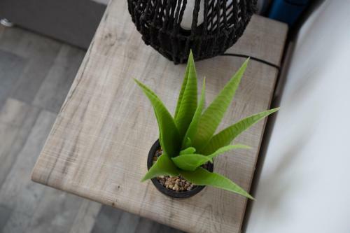 Apartamento Oakfield Road