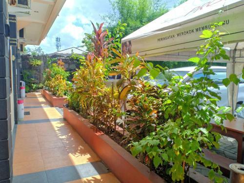 Hostal Seven Wells Guesthouse