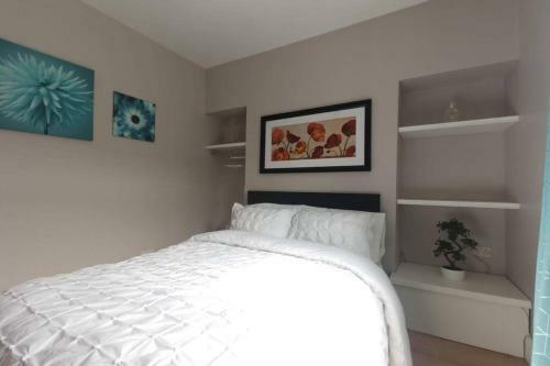 Argyle House, 10 Minute Walk From City Centre