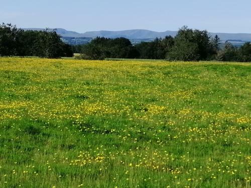 Lake District And Eden Valley