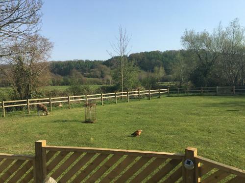 Lodge The Hut@dinnington