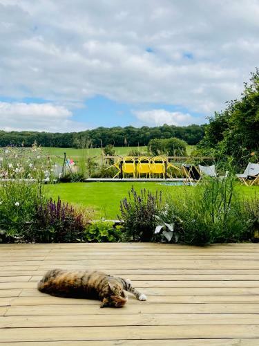 The Shed -an Inspirational Studio In The Chilterns