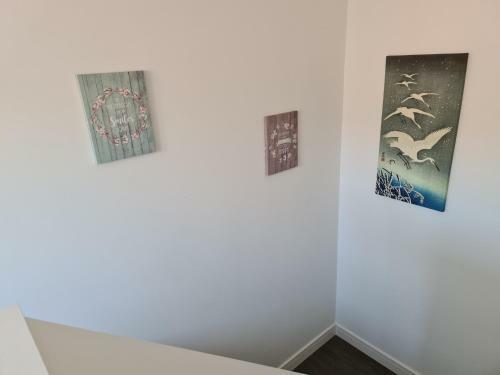 Sav Apartments Nottingham Road Loughborough - 2 Bed Apartment