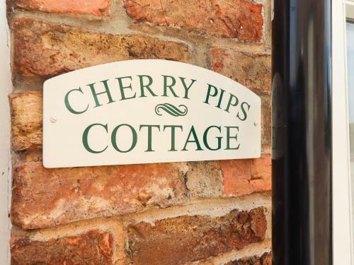 Cherry Pips