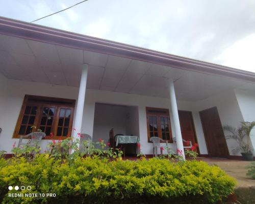Hostal Greenish Inn (rooms)