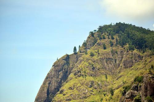 Bed & Breakfast Raveena Guest House
