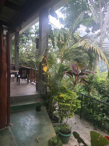 Bed & Breakfast Raveena Guest House