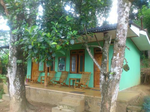 Bed & Breakfast Aurora Holiday Bungalow