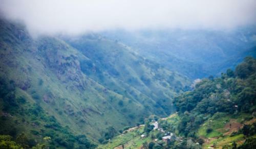 Ella Ecolodge