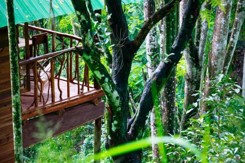 Ella Ecolodge