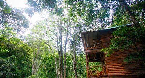 Ella Ecolodge