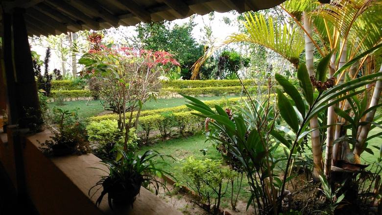 Bed & Breakfast Sunnyside Holiday Bungalow
