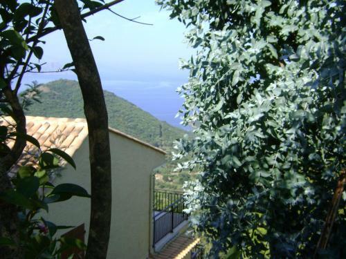Apartamento Les Asphod�les