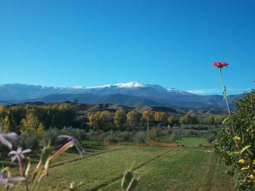 Almazara De Paulenca