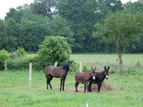 Holiday Home Les Volets Bleus Baguermorvan