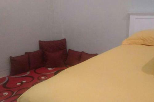 Tioldy Home