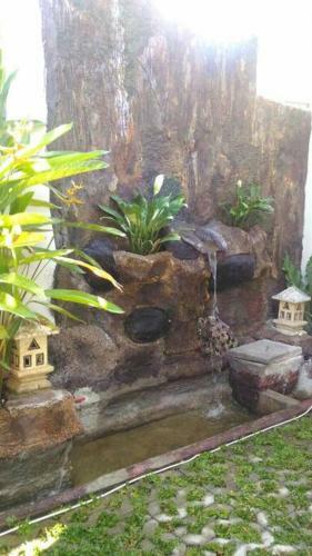 Tioldy Home