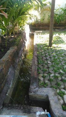 Tioldy Home