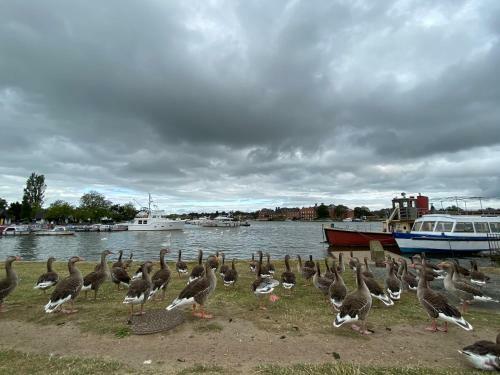 Apartamento Swan View, Oulton Broad