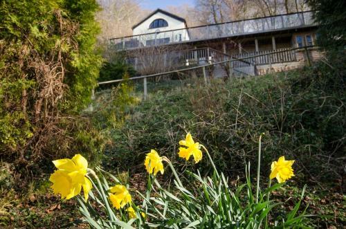 Wye Valley Forest Retreat