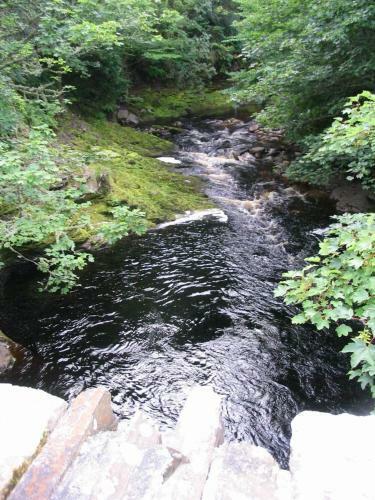 Arrochar Bed And Breakfast